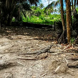 giada-towers-a204.tulum-hotels.net/